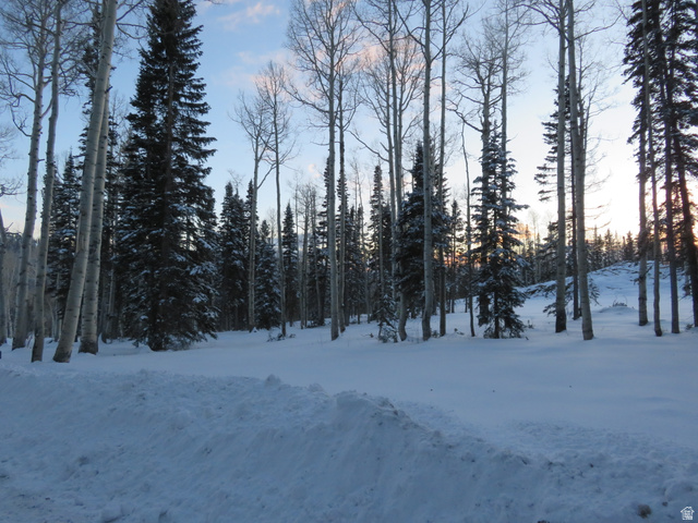 6 Tushar Mountain Estates, Unit 6 Beaver, UT 84713 - Photo 9 of 16 Snow-covered terrain featuring a dense forest of evergreen and deciduous trees