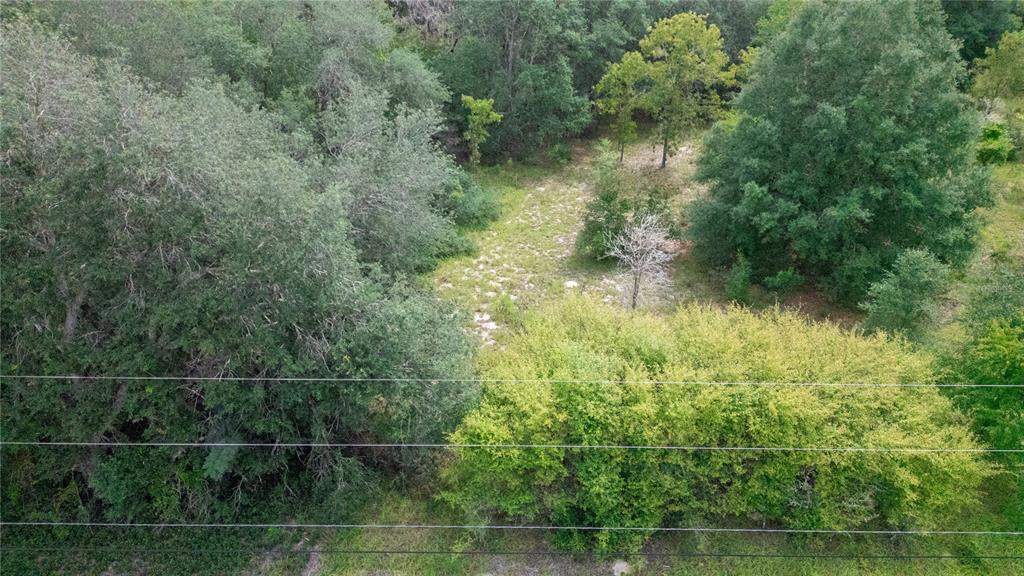 7697 Colorado Avenue Keystone Heights, FL 32656 - Photo 4 of 8 a view of a yard and lake view