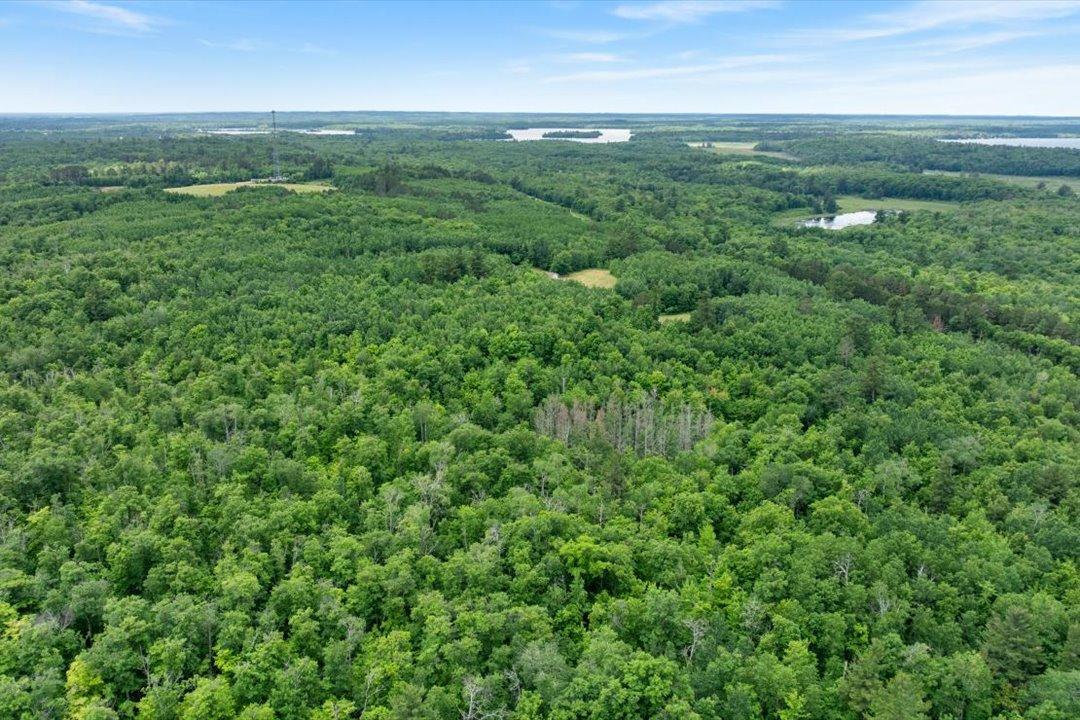 4608 Highway 371 Hackensack, MN 56452 - Photo 47 of 71
