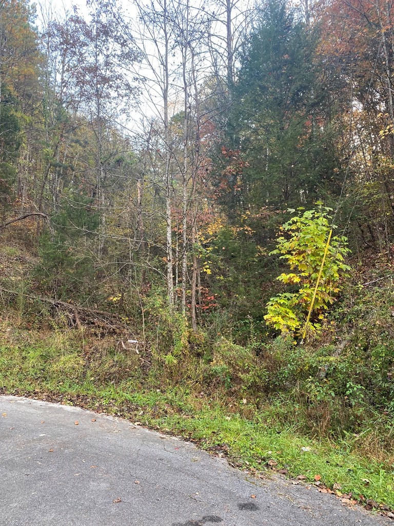 0 Maples Branch Road Sevierville, TN 37876 - Photo 6 of 9