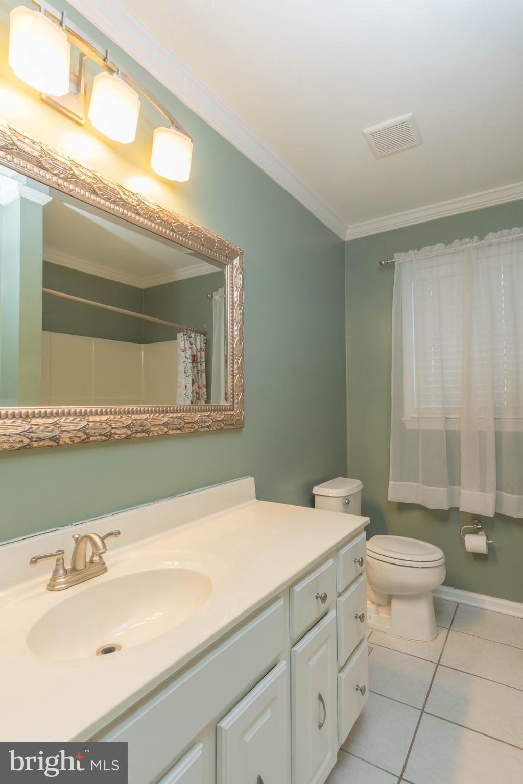 5154 Jolly Acres Road White Hall, MD 21161 - Photo 19 of 30 Bath (Master)