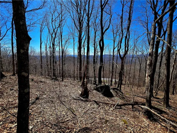 $195,000 | Lot 78 Elk Creek Mountain Parkway, Todd, NC 28684