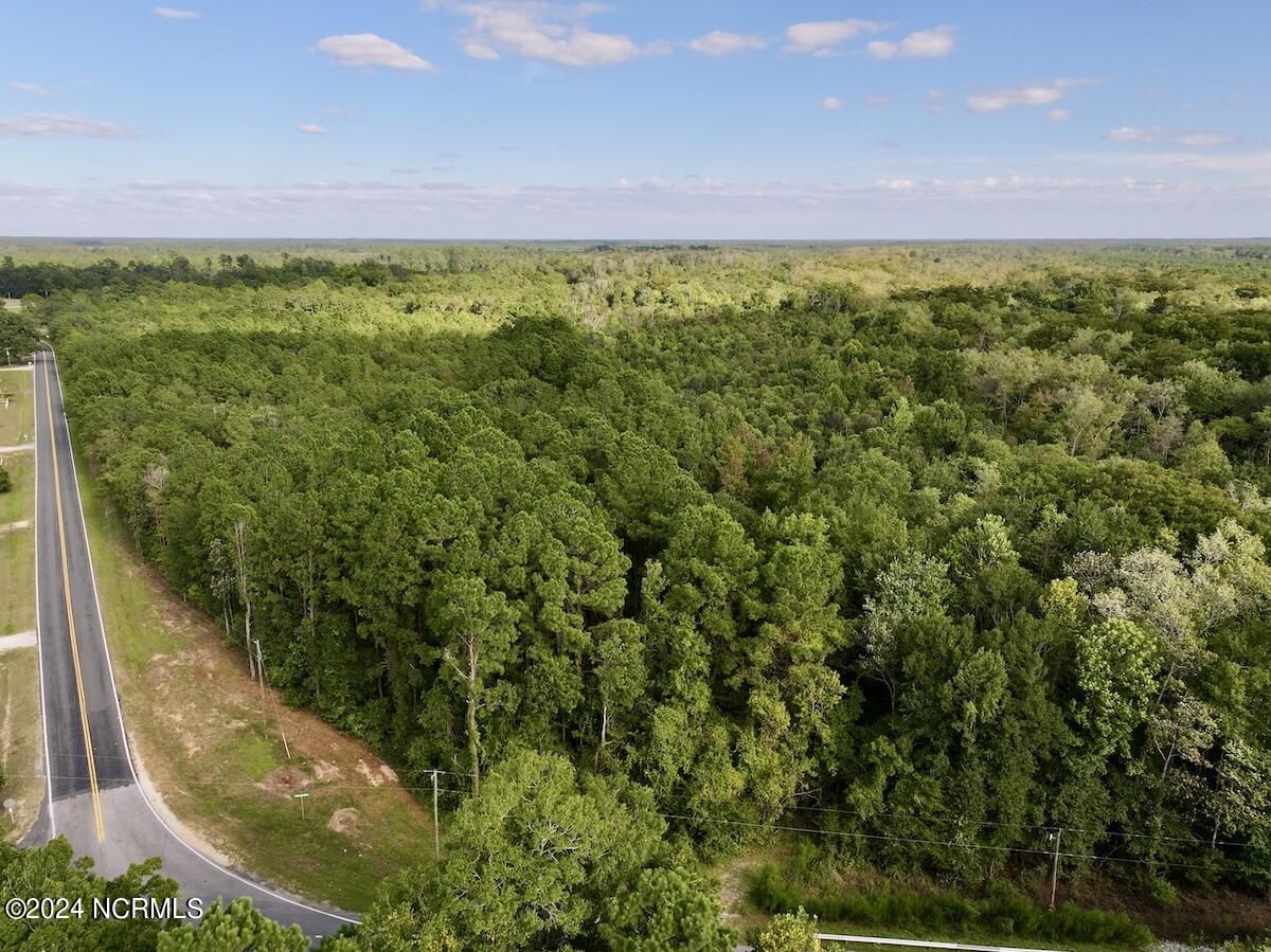 2995 Nelson Road Vanceboro, NC 28586 - Photo 1 of 18 aerial