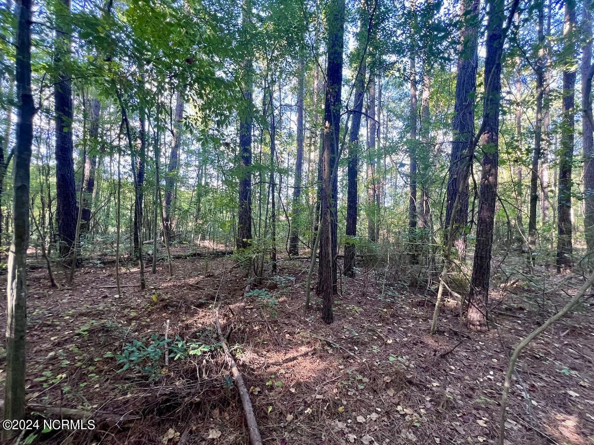 2995 Nelson Road Vanceboro, NC 28586 - Photo 11 of 18 11