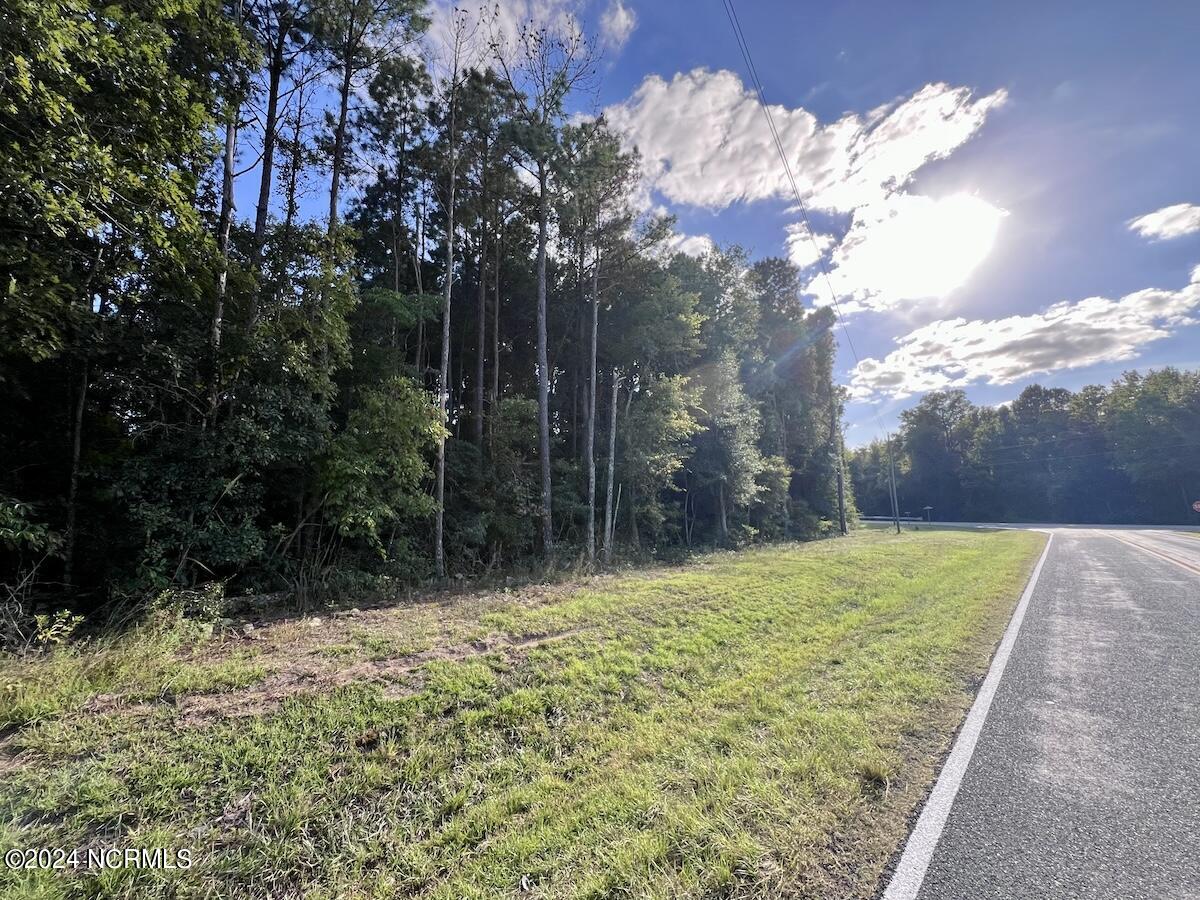 2995 Nelson Road Vanceboro, NC 28586 - Photo 13 of 18 13