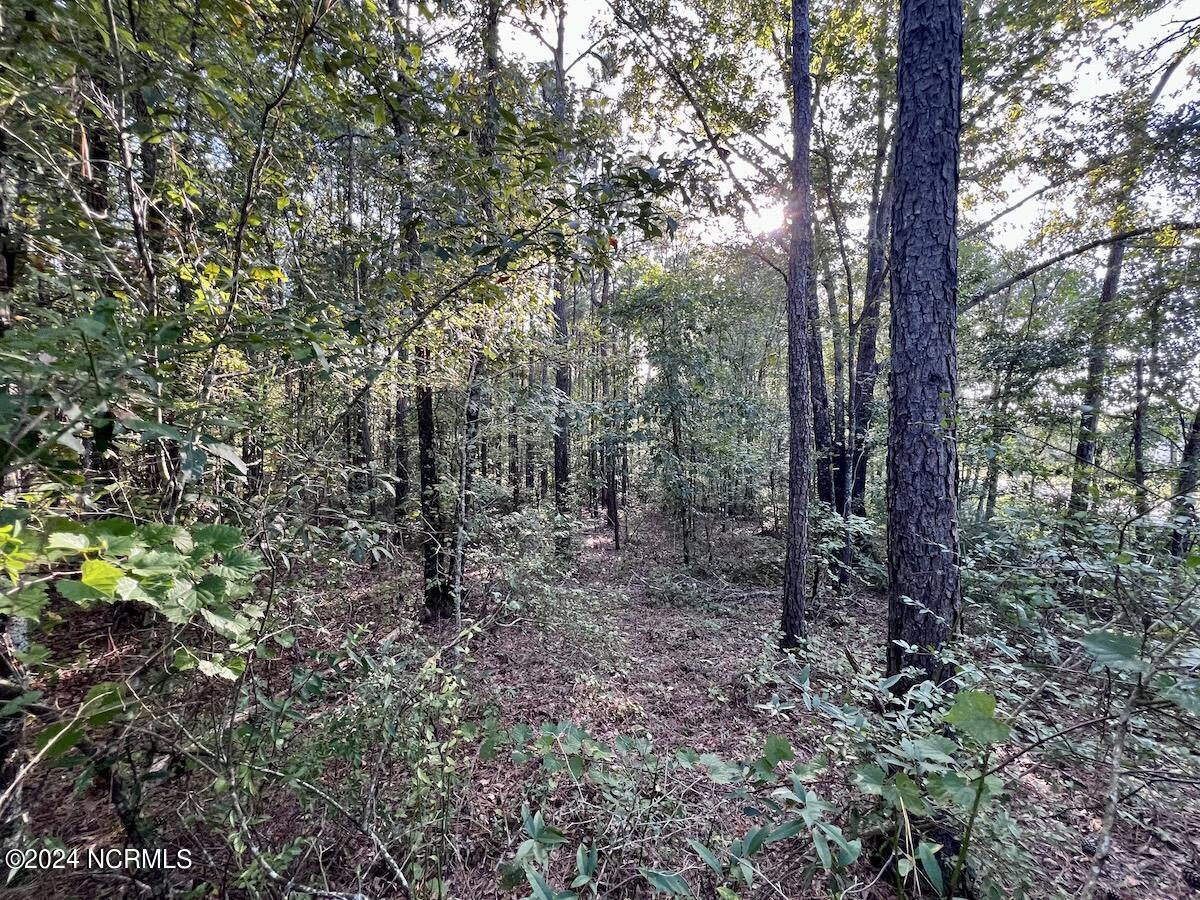 2995 Nelson Road Vanceboro, NC 28586 - Photo 16 of 18 16