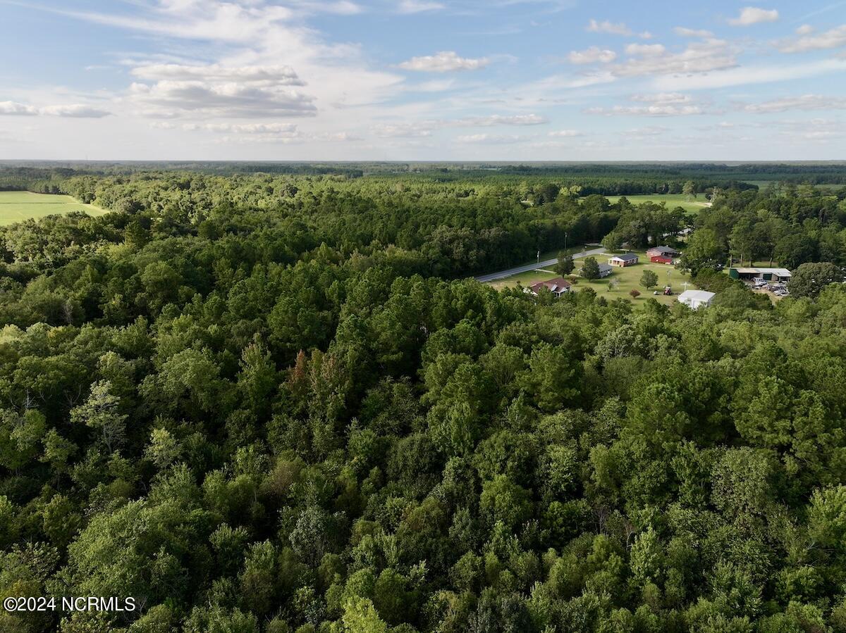 2995 Nelson Road Vanceboro, NC 28586 - Photo 4 of 18 4