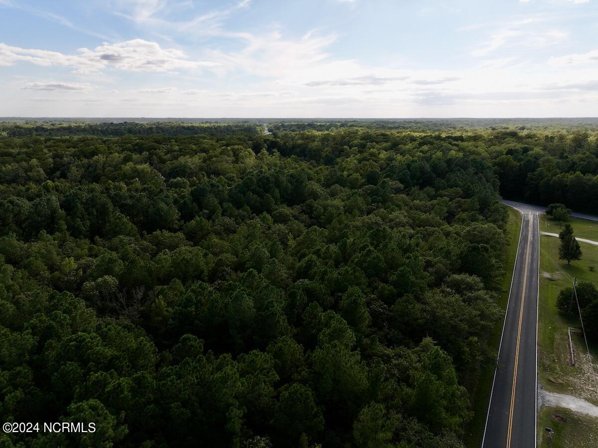 2995 Nelson Road Vanceboro, NC 28586 - Photo 5 of 18 5