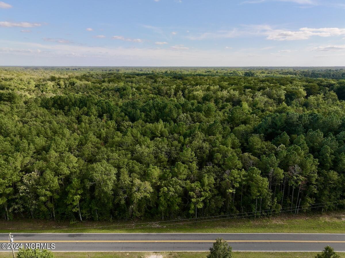 2995 Nelson Road Vanceboro, NC 28586 - Photo 6 of 18 6