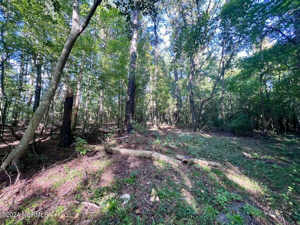 2995 Nelson Road Vanceboro, NC 28586 - Photo 7 of 18 7