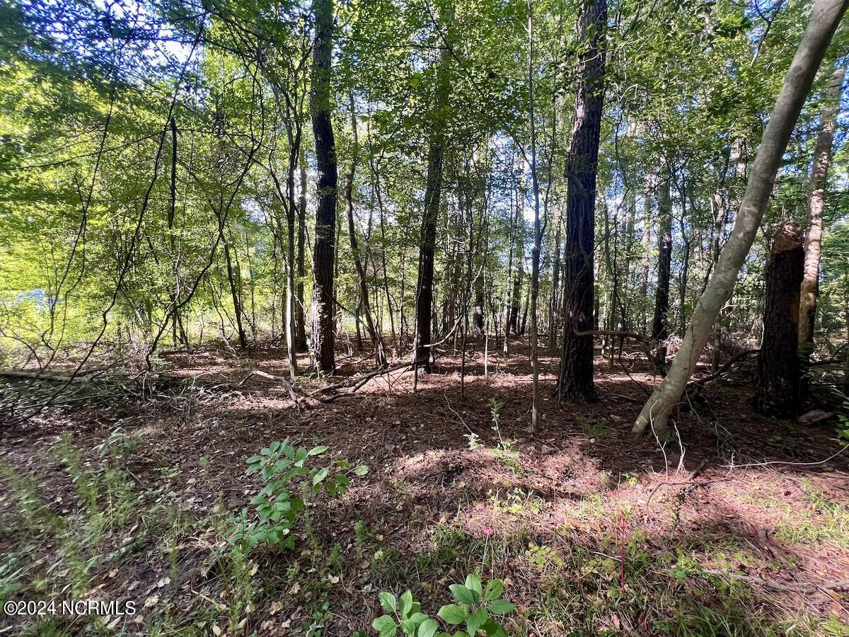 2995 Nelson Road Vanceboro, NC 28586 - Photo 8 of 18 8