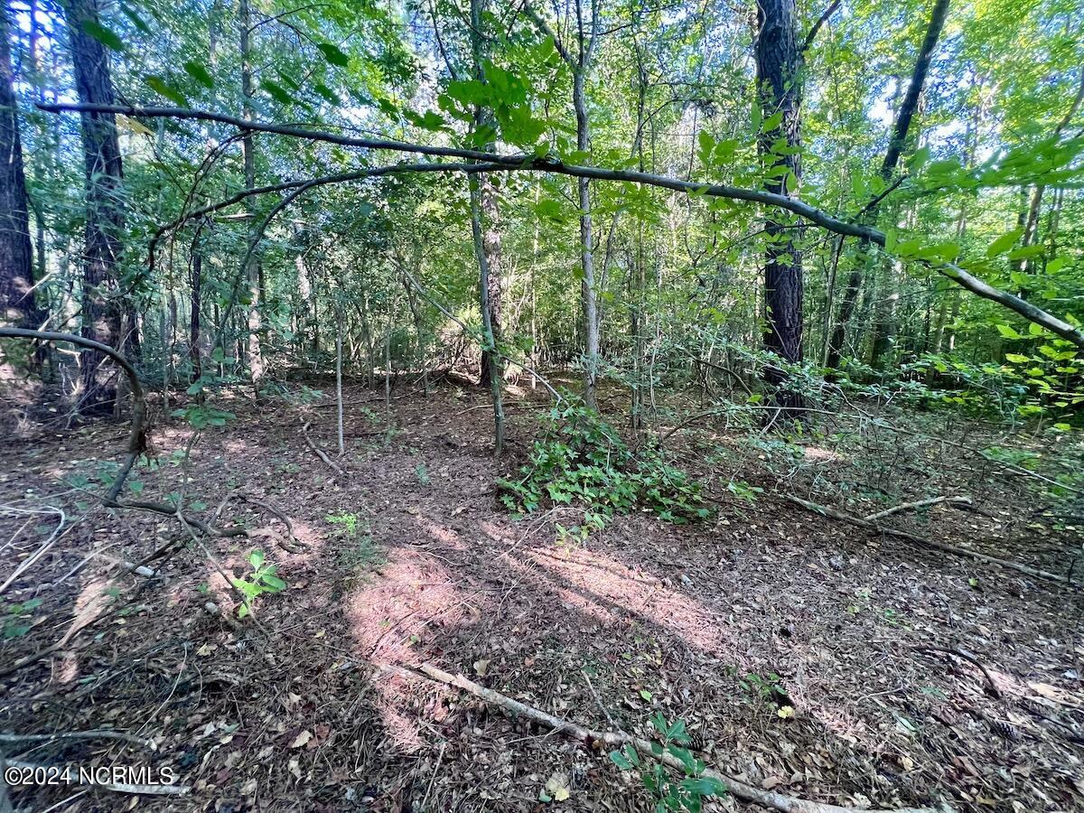 2995 Nelson Road Vanceboro, NC 28586 - Photo 9 of 18 9