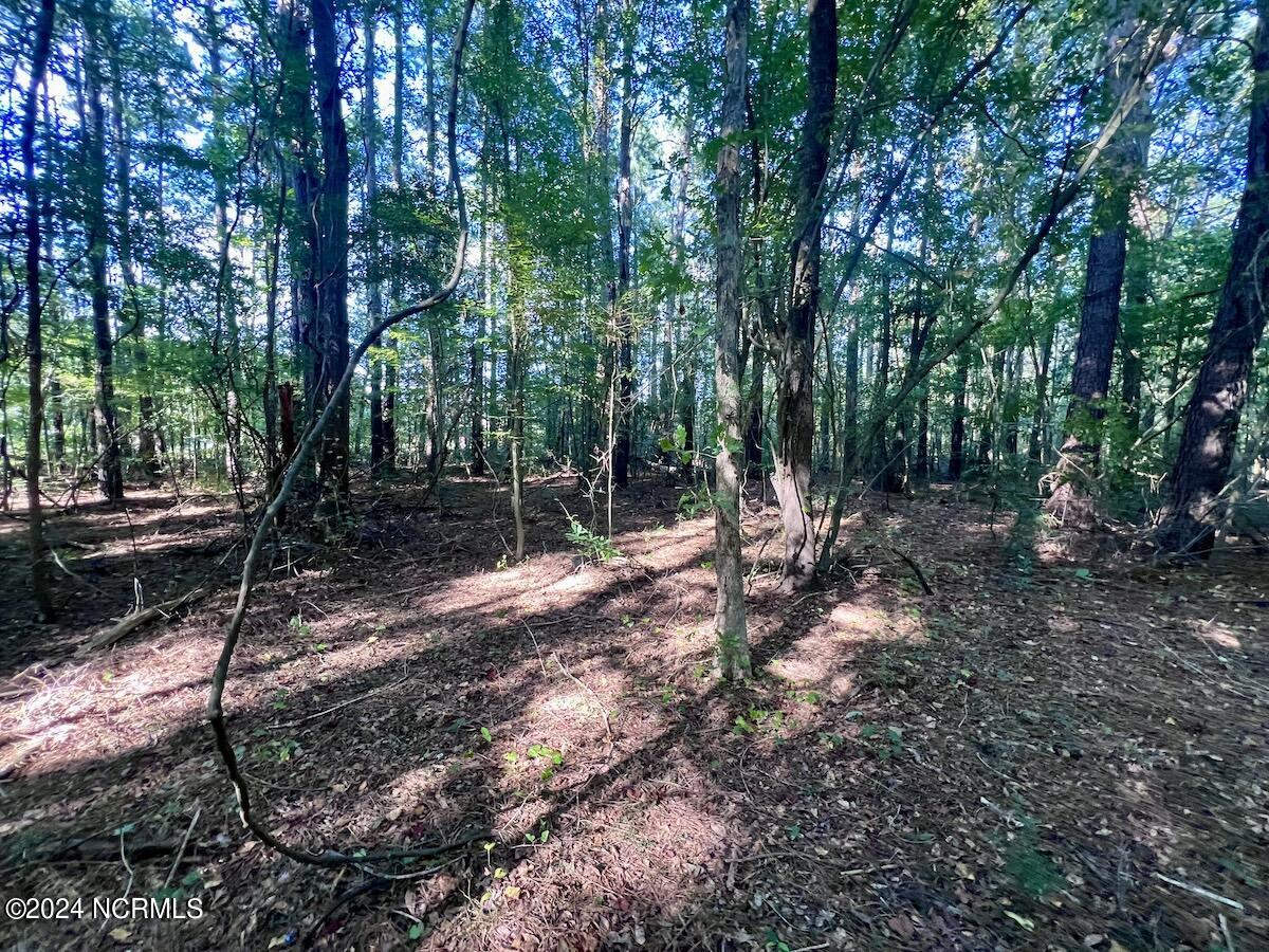 2995 Nelson Road Vanceboro, NC 28586 - Photo 10 of 18 10