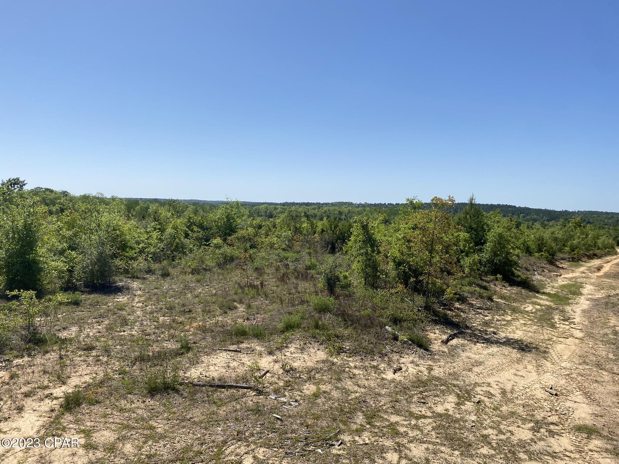 2509 Kent Road Chipley, FL 32428 - Photo 64 of 84