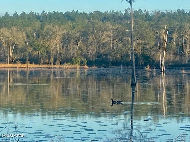 2509 Kent Road Chipley, FL 32428 - Photo 73 of 84