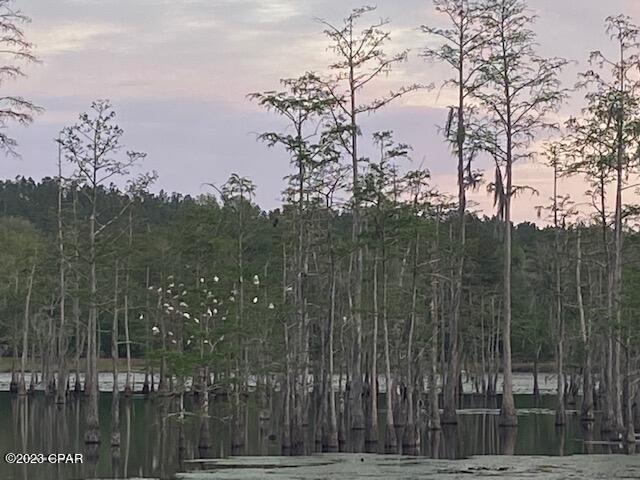 2509 Kent Road Chipley, FL 32428 - Photo 77 of 84