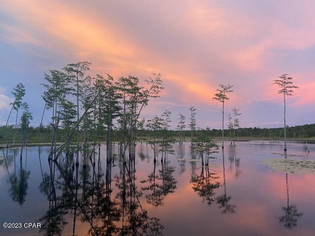 2509 Kent Road Chipley, FL 32428 - Photo 79 of 84