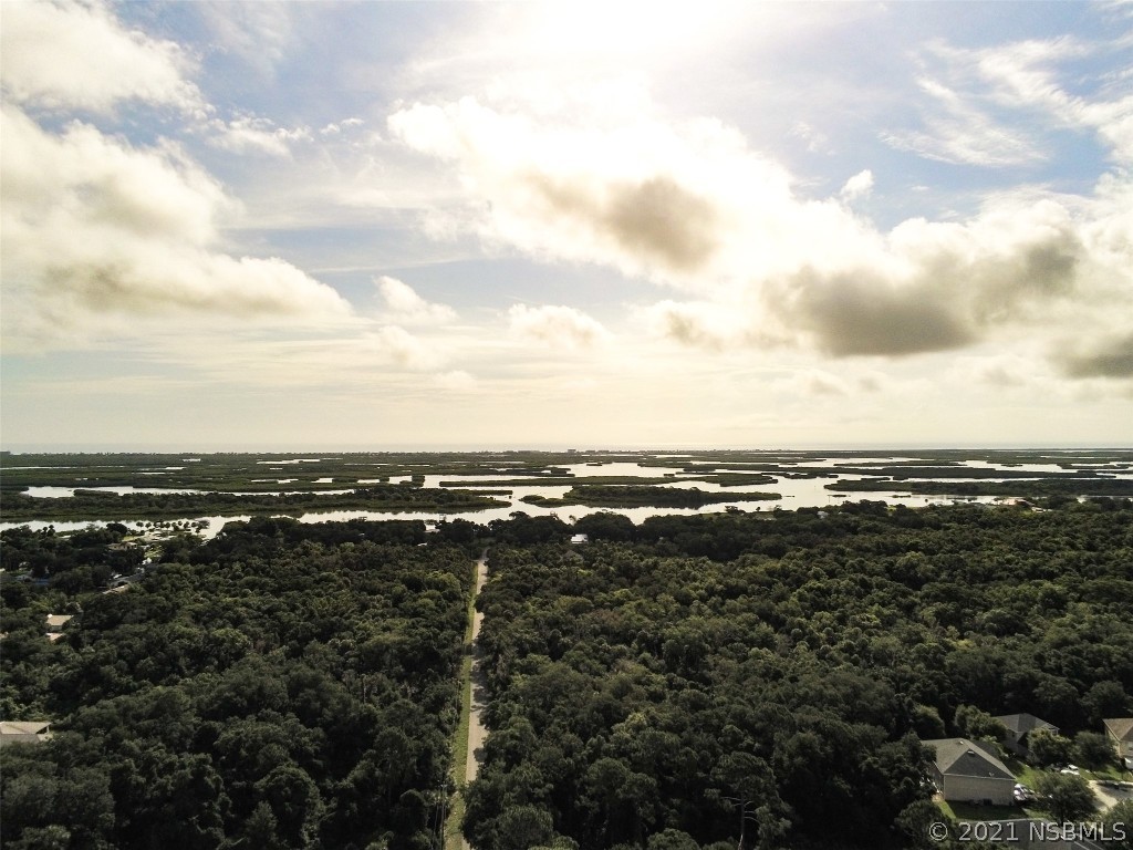134 Arbor Lane Edgewater, FL 32141 - Photo 8 of 36 an aerial view of multiple house