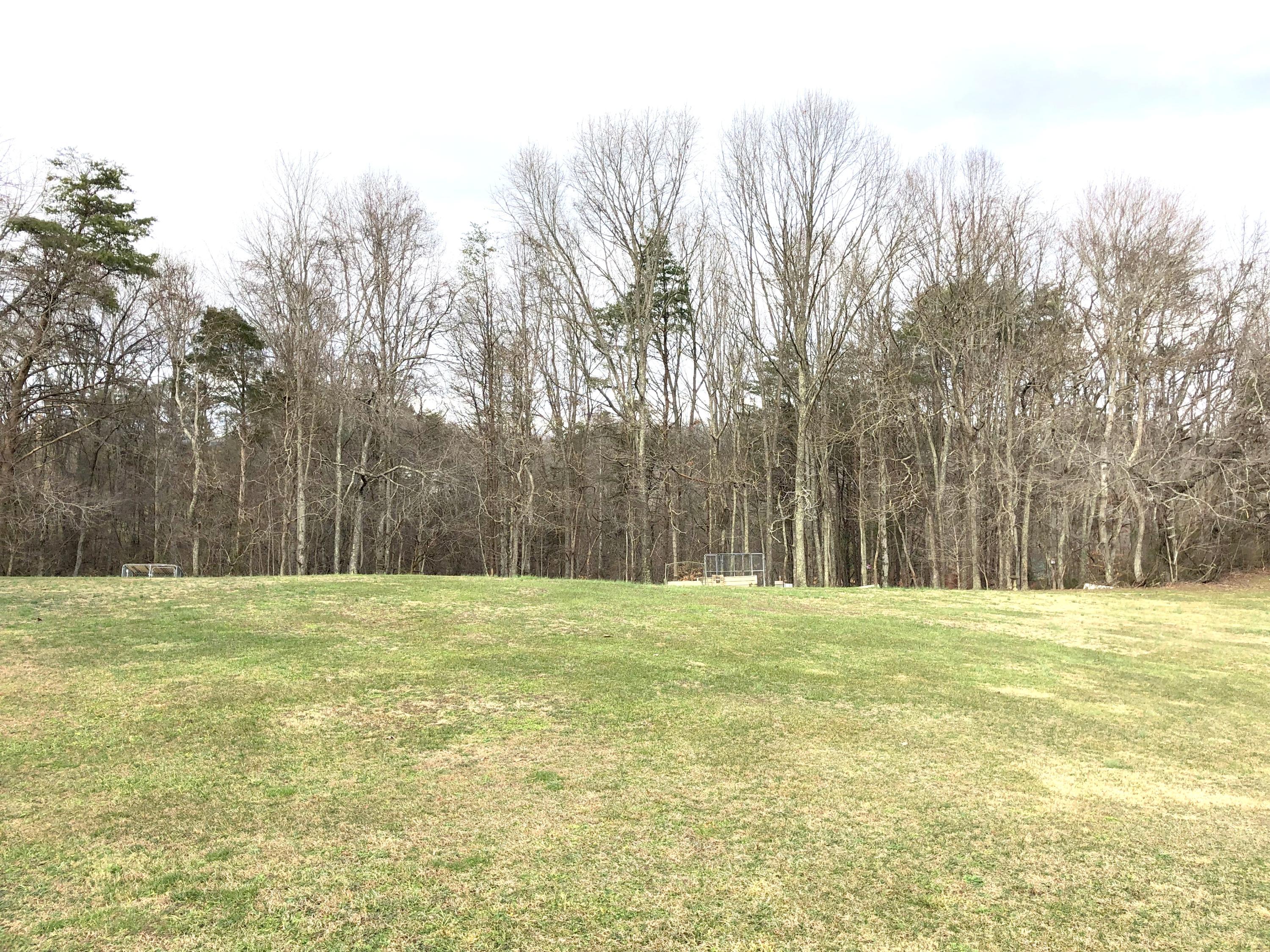 2761 Pinecrest Road Jacksboro, TN 37757 - Photo 14 of 33 IMG_9641