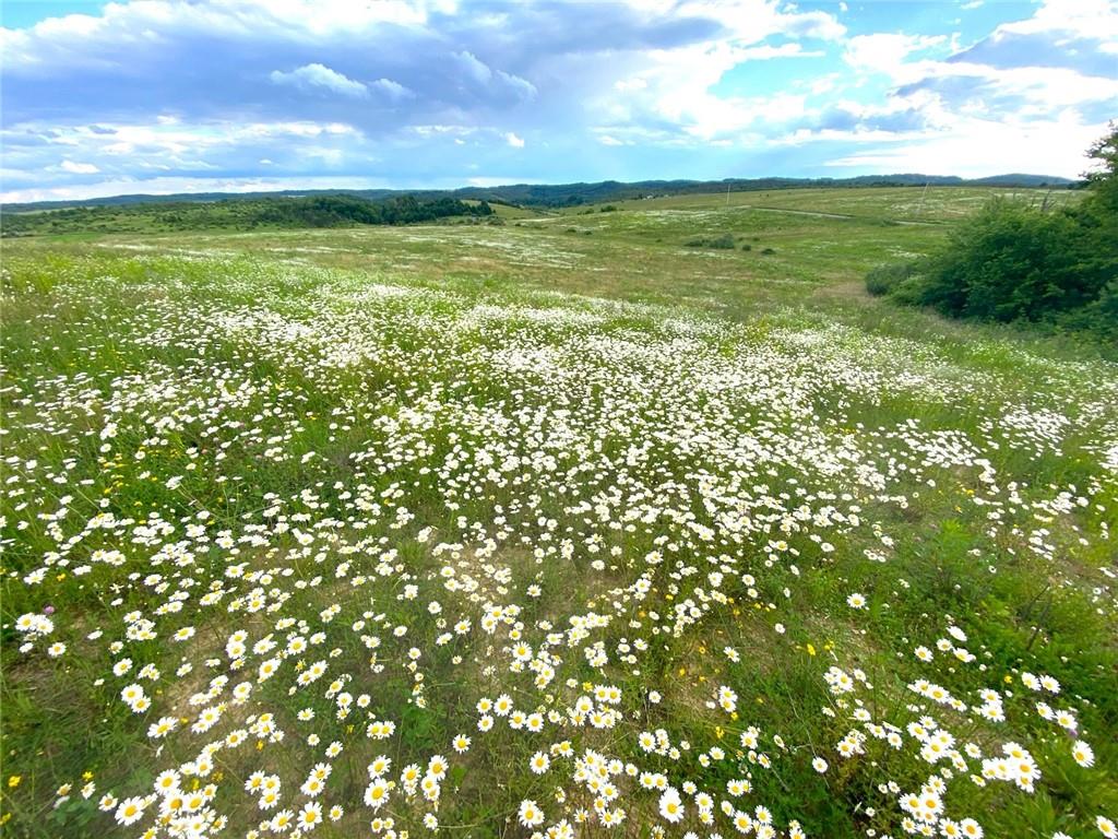0 Cherry Church Run Road Sligo, PA 16255 - Photo 1 of 12