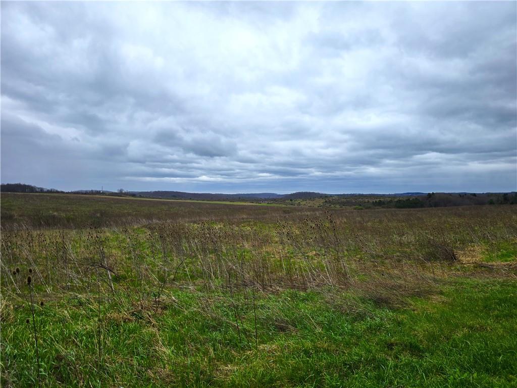 0 Cherry Church Run Road Sligo, PA 16255 - Photo 2 of 12