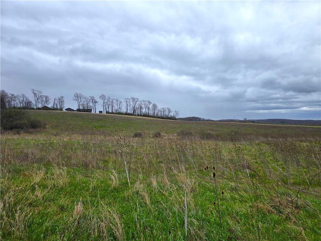 0 Cherry Church Run Road Sligo, PA 16255 - Photo 3 of 12