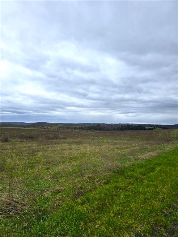 0 Cherry Church Run Road Sligo, PA 16255 - Photo 4 of 12