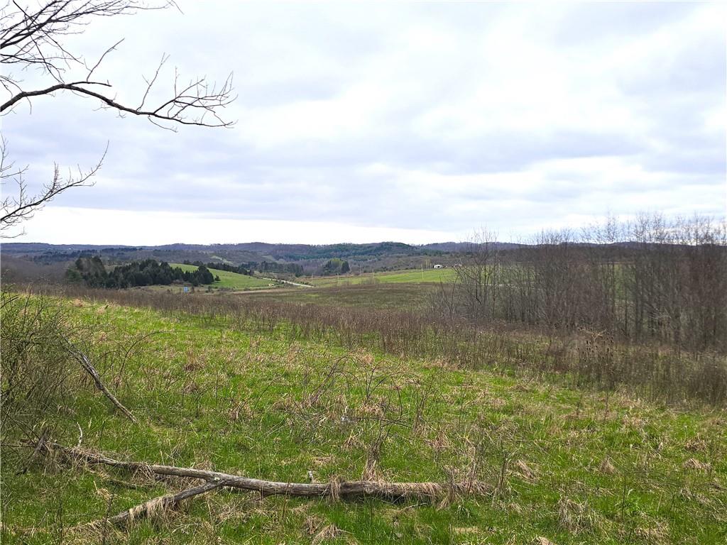 0 Cherry Church Run Road Sligo, PA 16255 - Photo 5 of 12