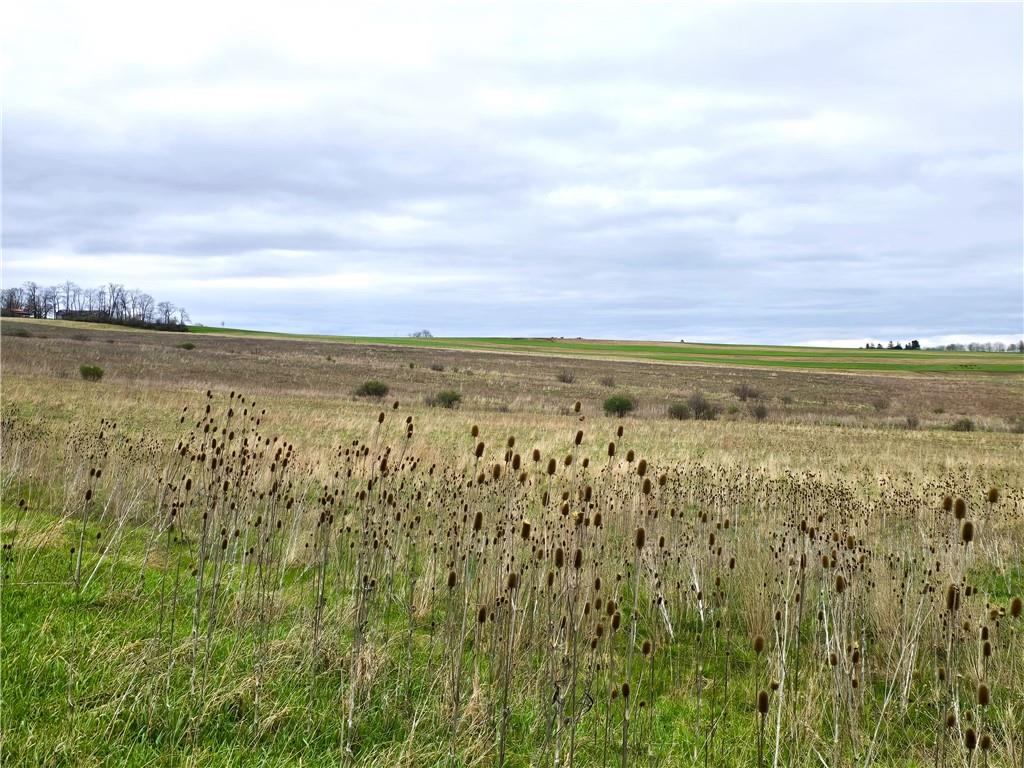 0 Cherry Church Run Road Sligo, PA 16255 - Photo 8 of 12