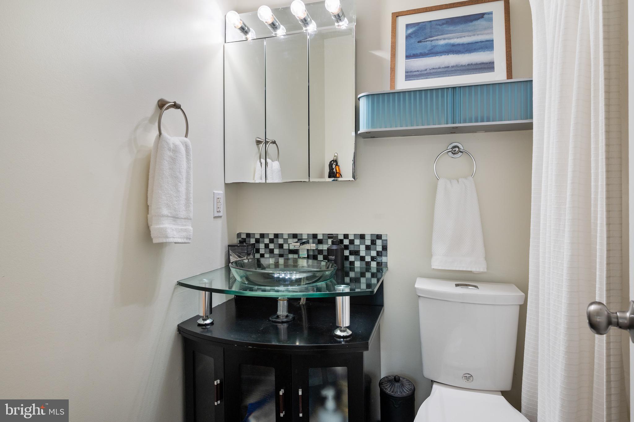 1945 Marthas Road Alexandria, VA 22307 - Photo 32 of 52 a bathroom with a toilet and a sink