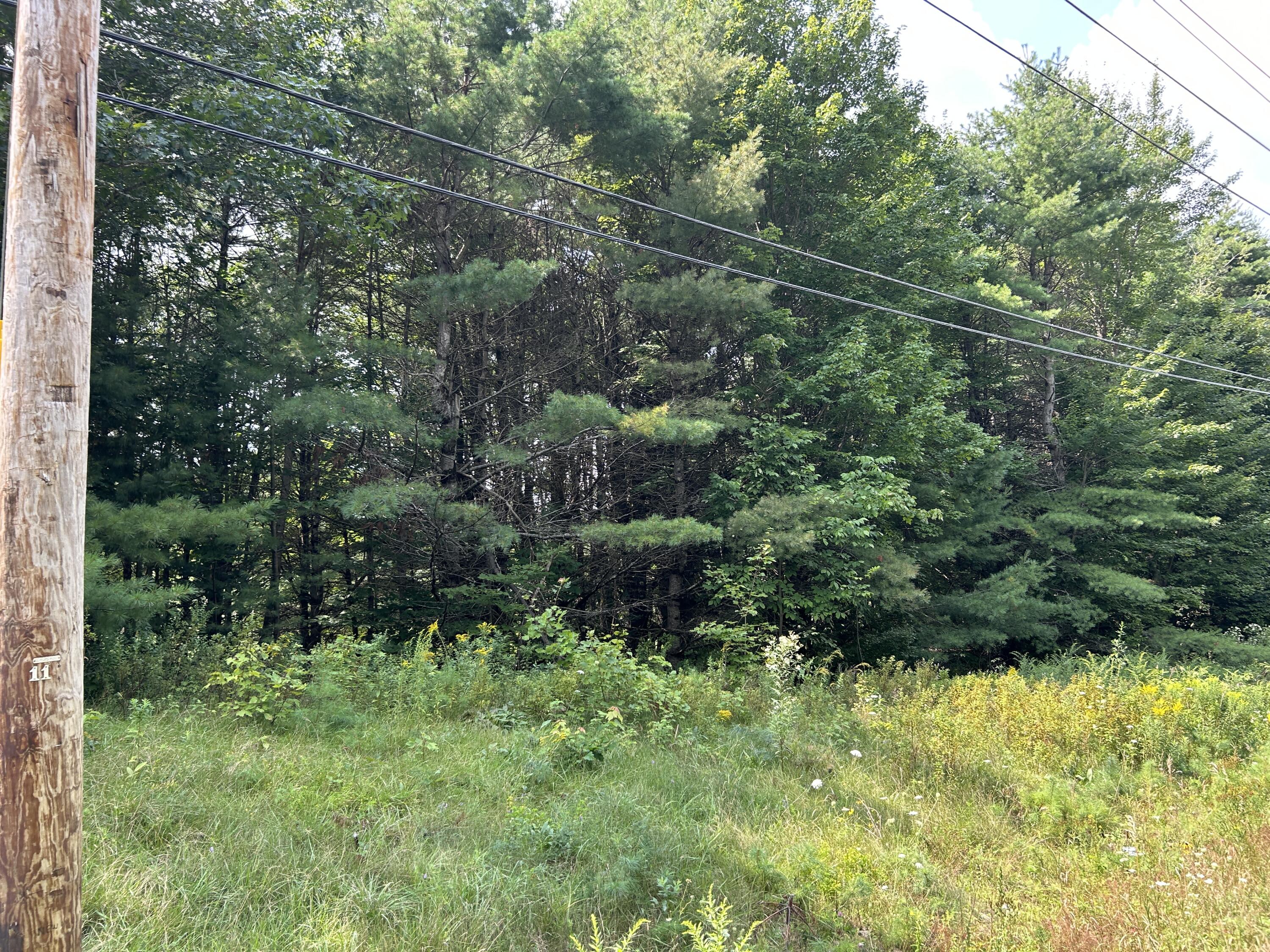M12-lot10 Thorndike Road Unity, ME 04988 - Photo 5 of 16 88CE6ABB-7F46-4186-8D10-F1815750C054