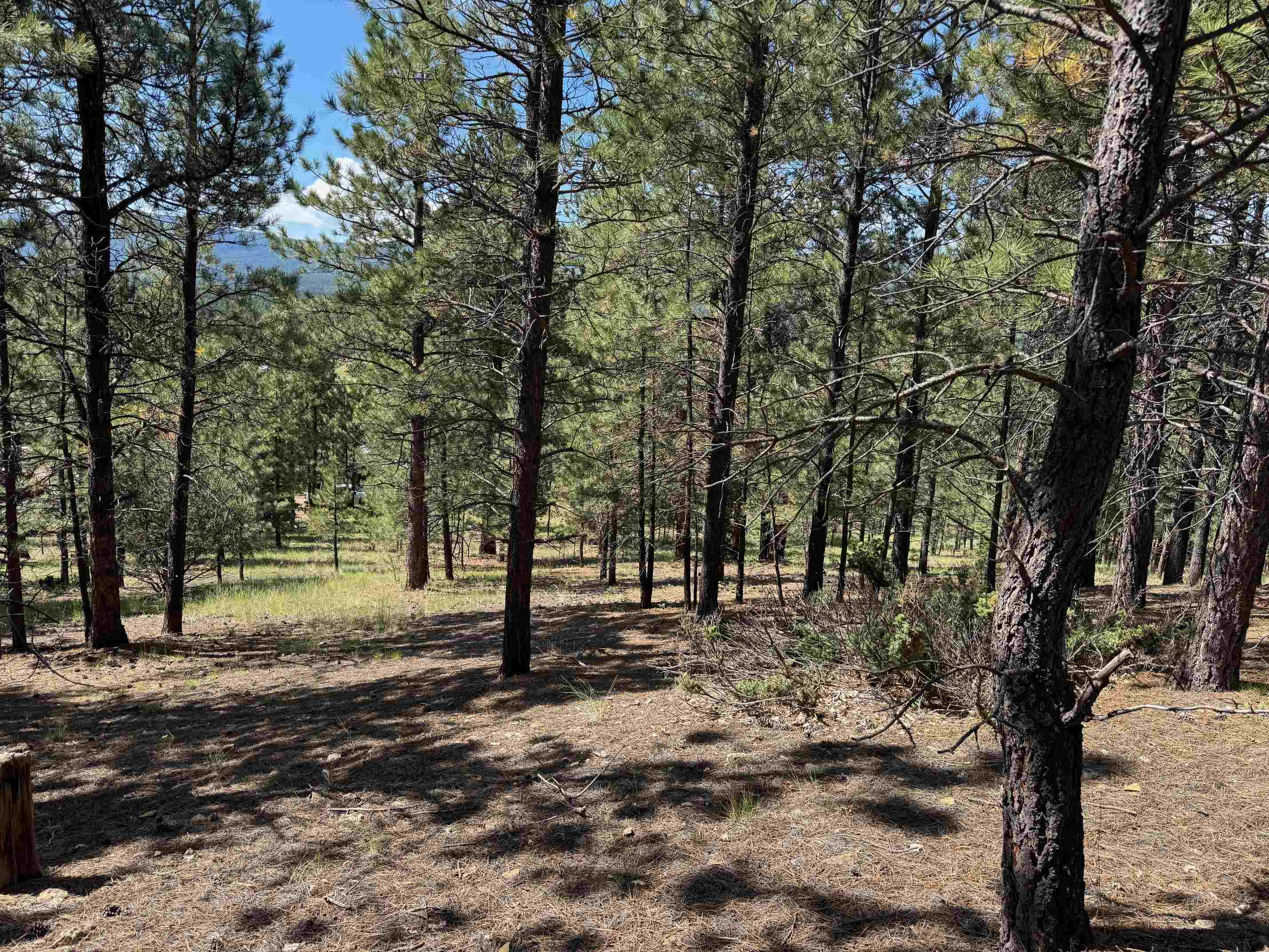 Lot 18 Upper Road Angel Fire, NM 87710 - Photo 10 of 11 Gallery Image 10
