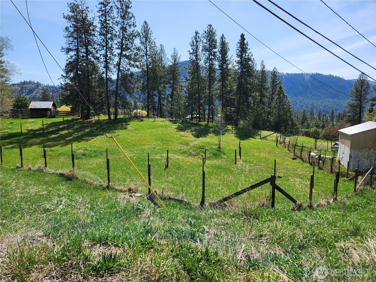 201 Tiger Lane Republic, WA 99166 - Photo 2 of 6 a view of a park with large trees