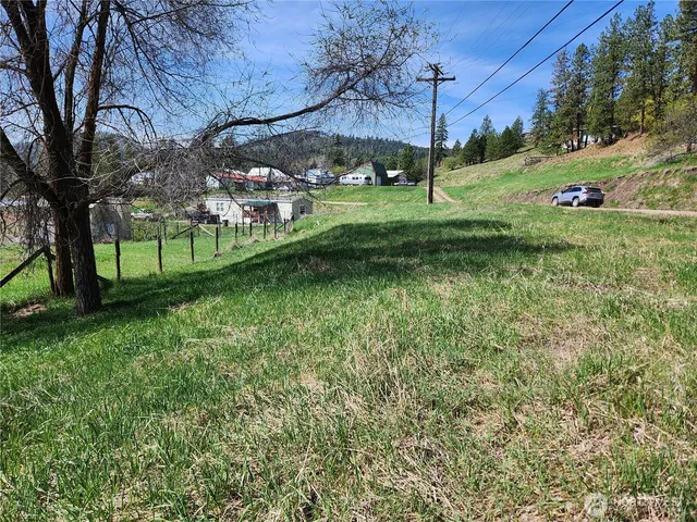 a view of a park with large trees