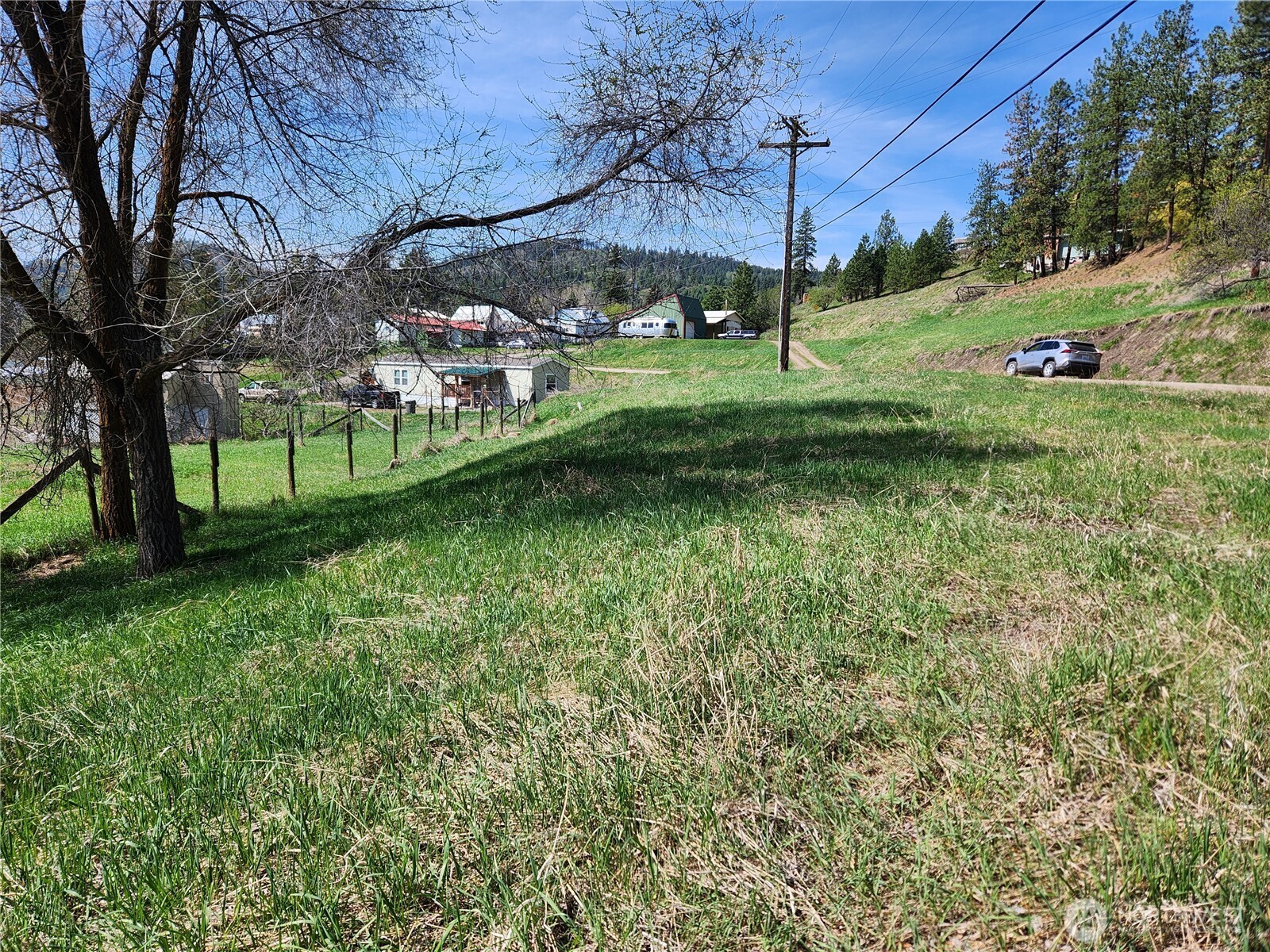 201 Tiger Lane Republic, WA 99166 - Photo 3 of 6 a view of a park with large trees