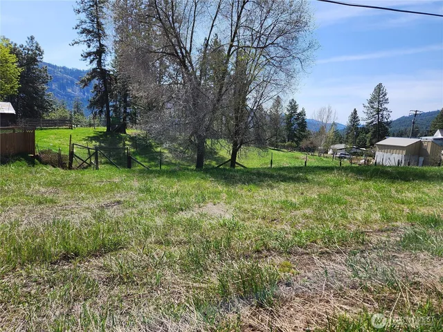 a view of a garden with large trees