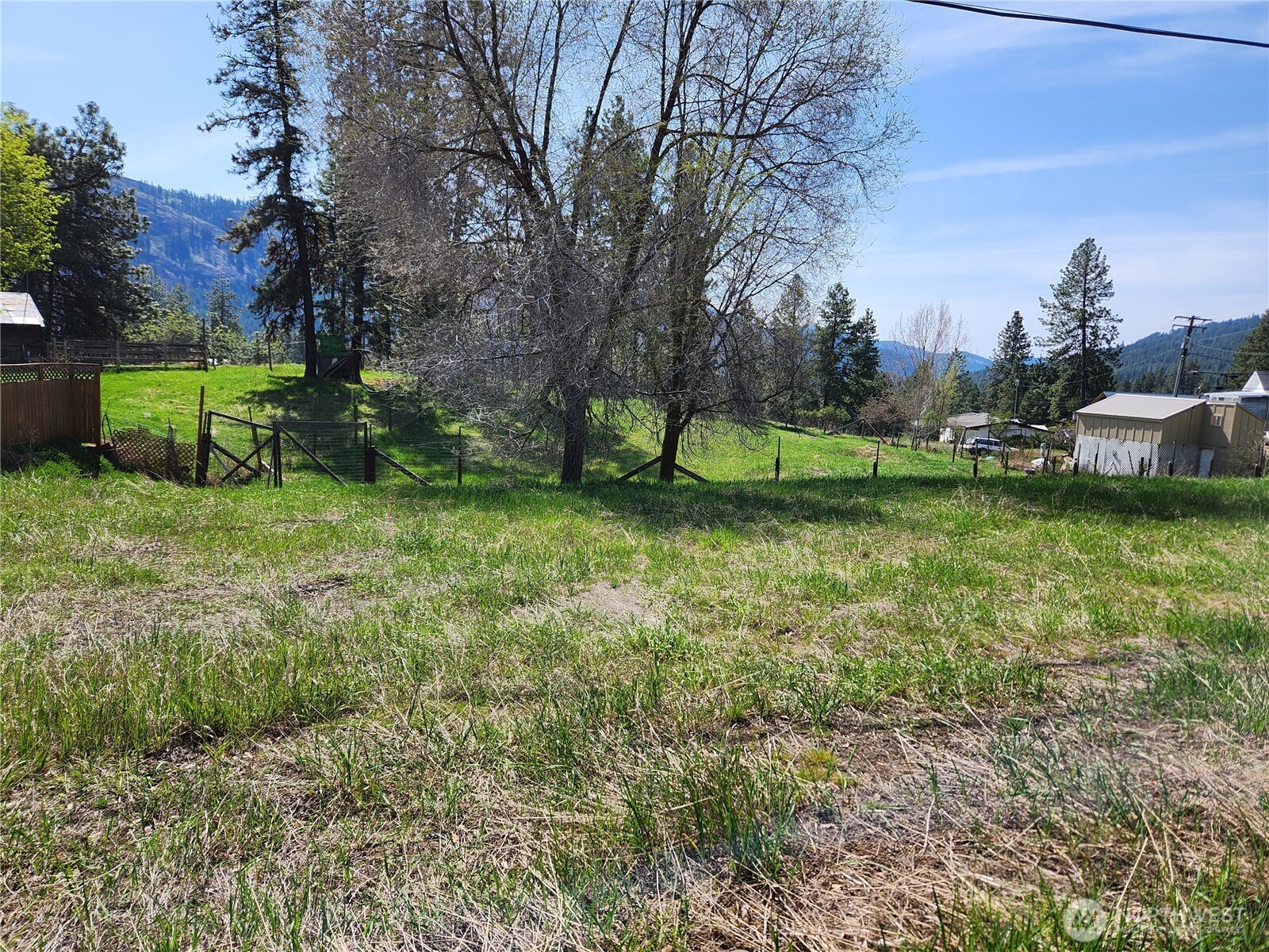 201 Tiger Lane Republic, WA 99166 - Photo 5 of 6 a view of a garden with large trees