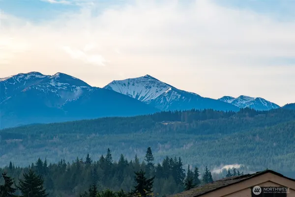 a view of a dry yard with green space