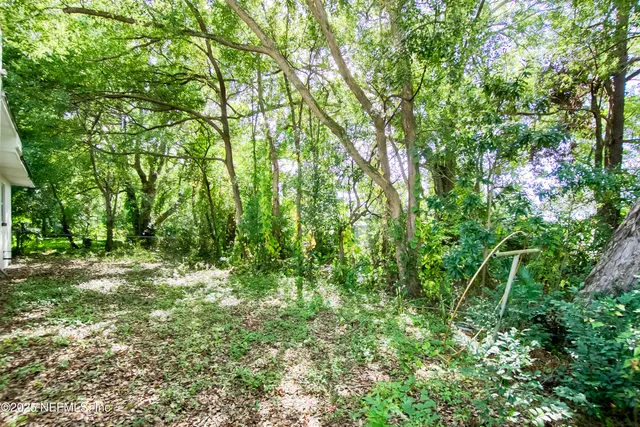 a backyard of a house with lots of green space