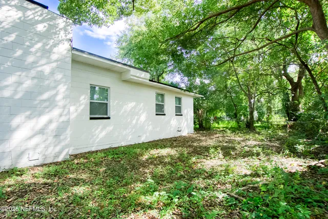 a view of a backyard with plants and large tree