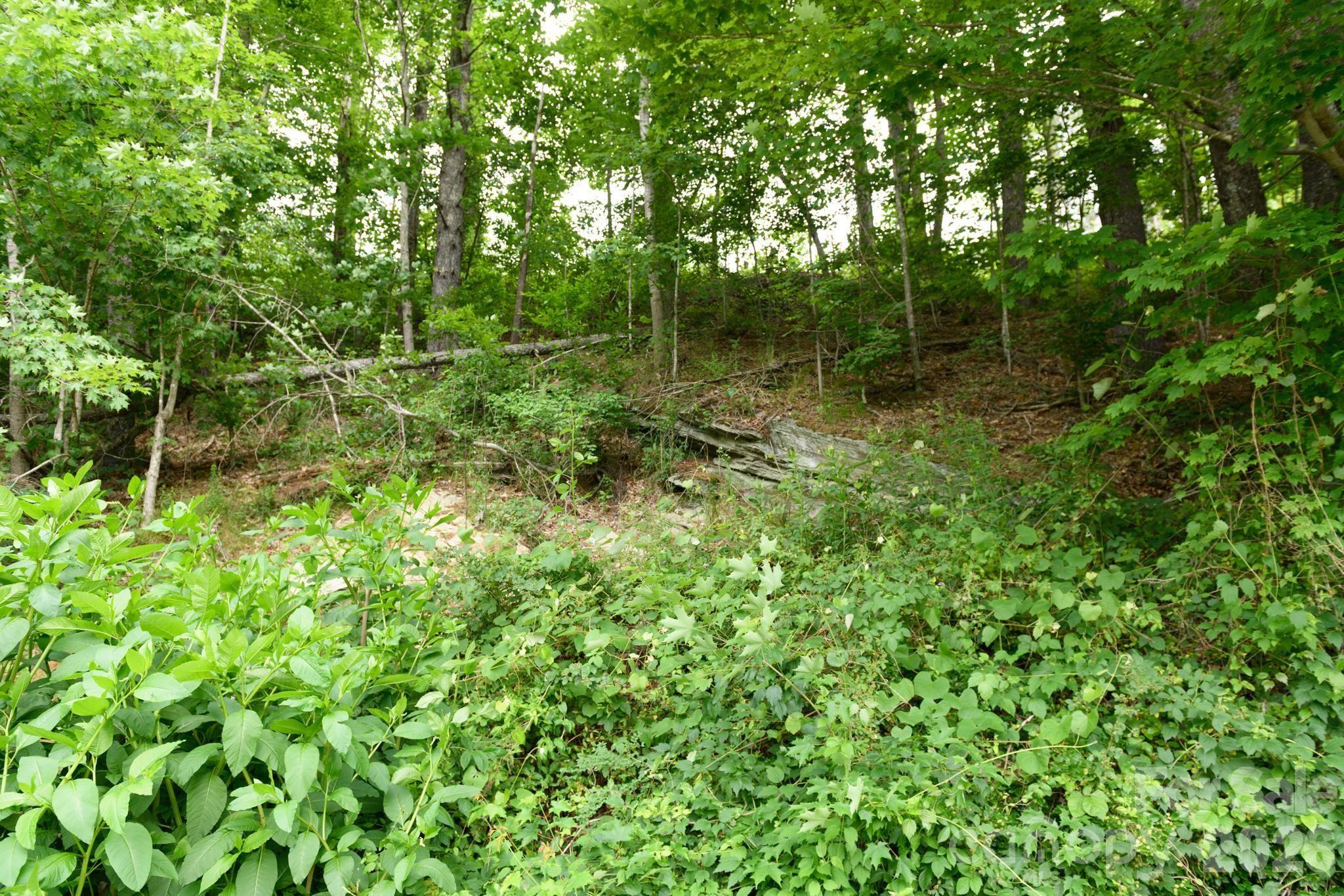 Tbd Tbd Sycamore Road Vilas, NC 28692 - Photo 14 of 38