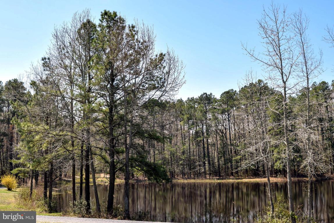 12 Pinehurst Road Ocean Pines, MD 21811 - Photo 47 of 53