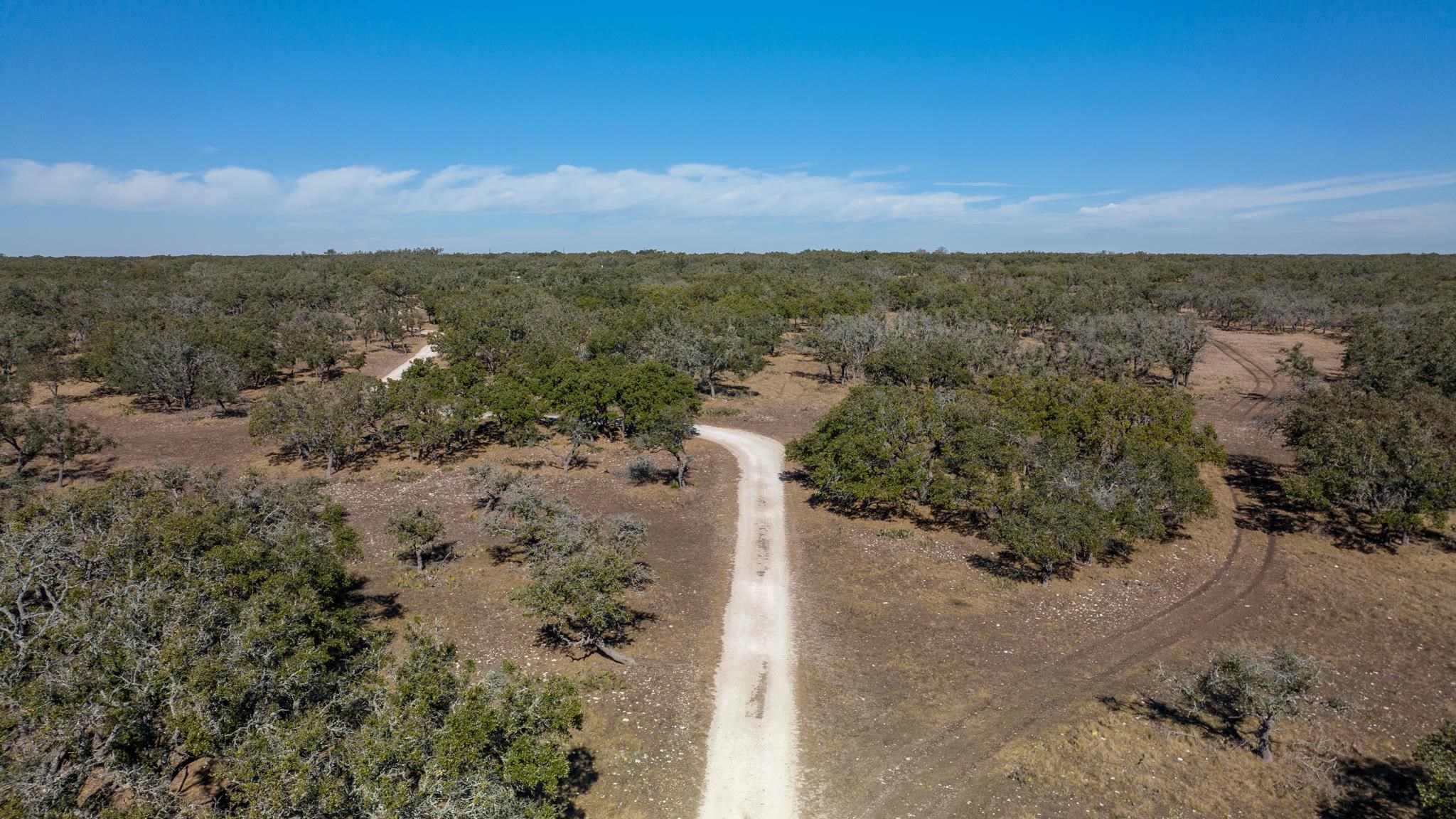 251 Blackjack Ranch Road Harper, TX 78631 - Photo 11 of 16 a view of outdoor space and mountain view