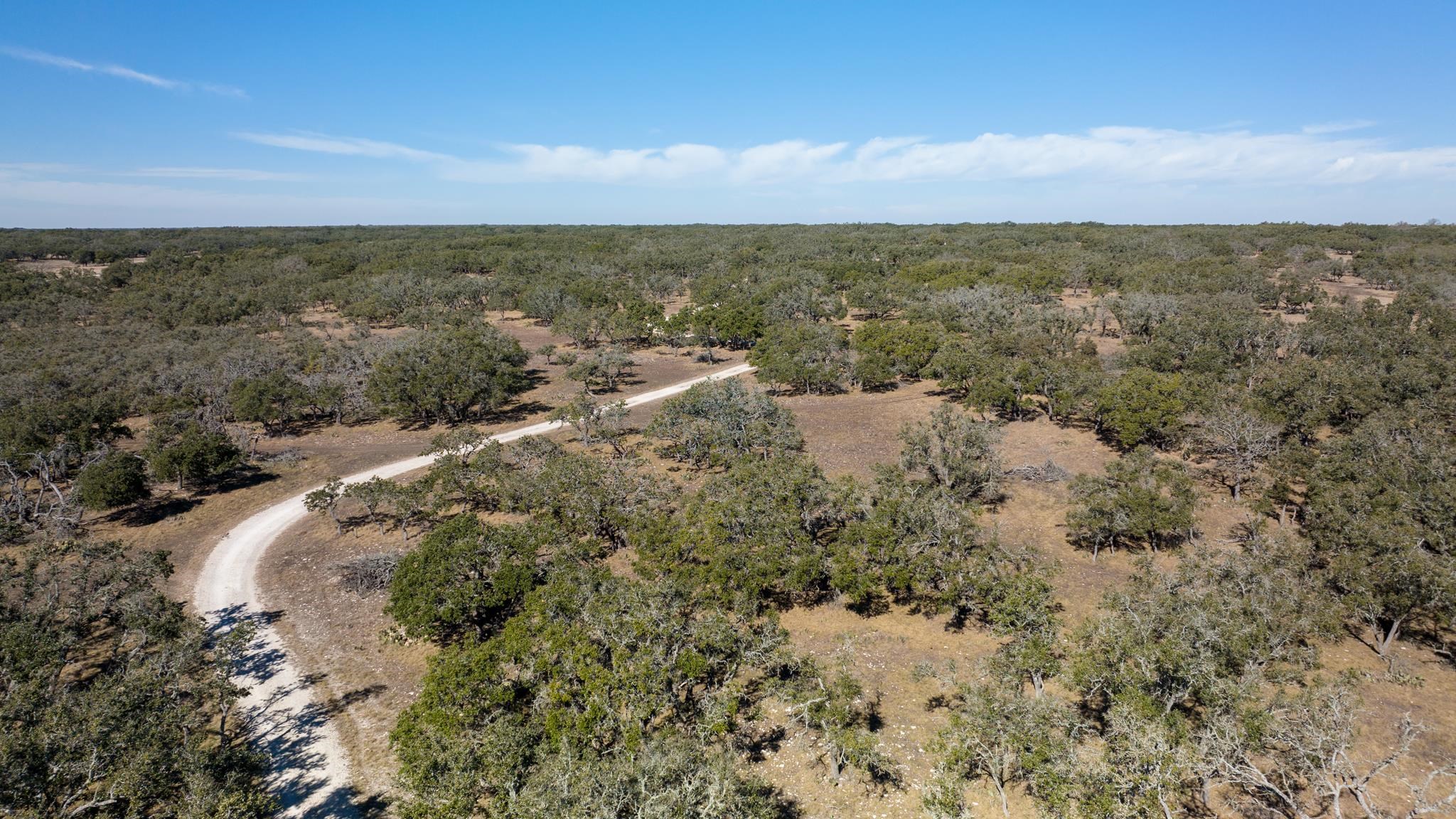 251 Blackjack Ranch Road Harper, TX 78631 - Photo 13 of 16 an aerial view of residential houses with outdoor space and trees
