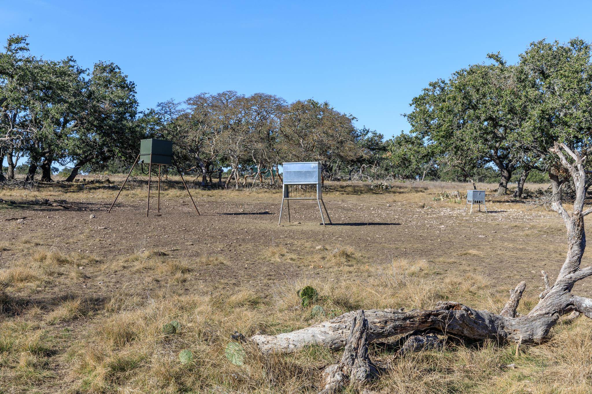 251 Blackjack Ranch Road Harper, TX 78631 - Photo 14 of 16 a view of dirt yard with a tree