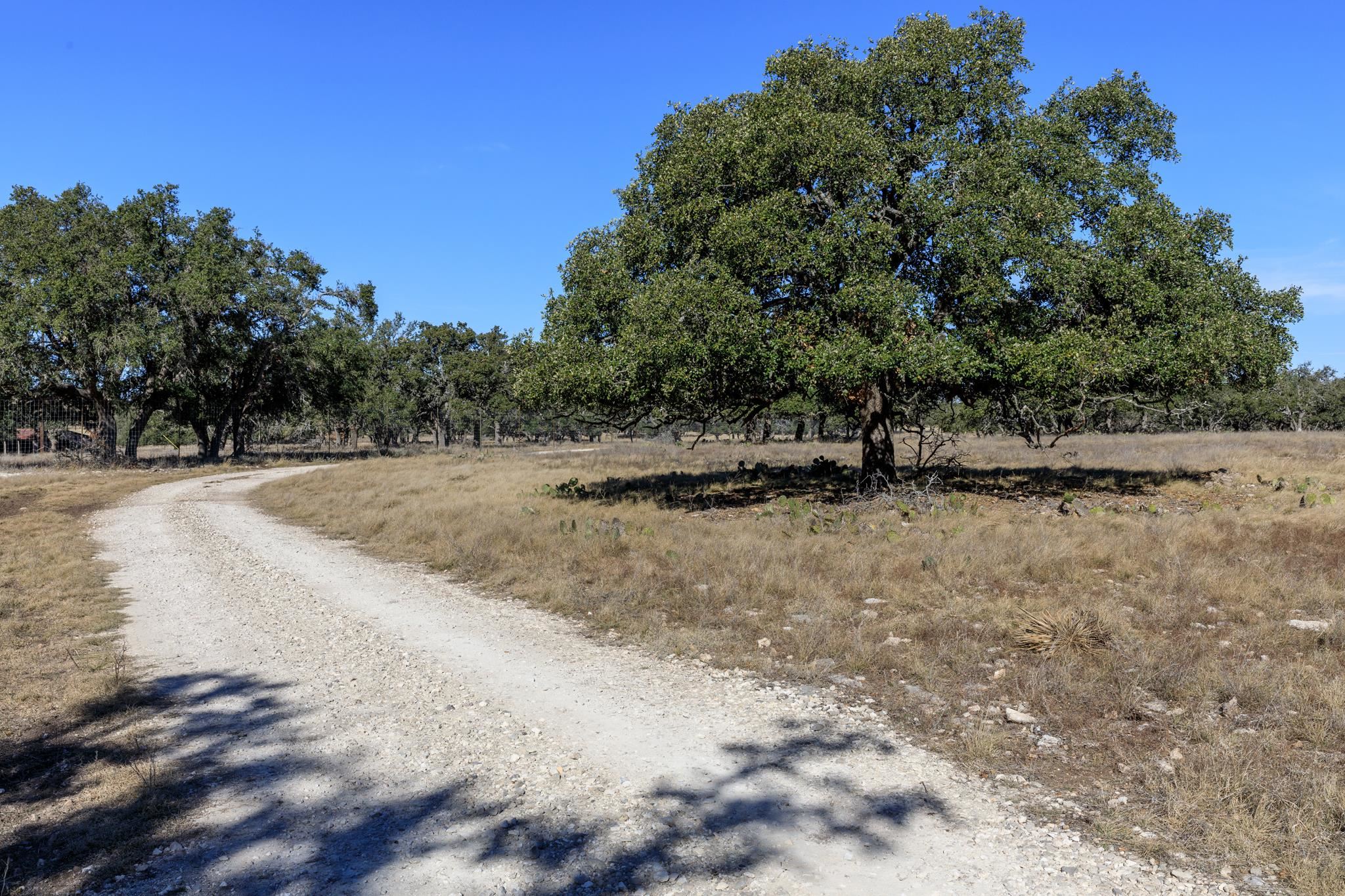 251 Blackjack Ranch Road Harper, TX 78631 - Photo 15 of 16
