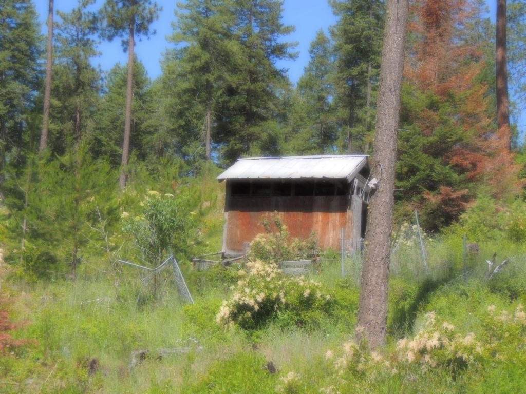 20311 East Temple Road Newman Lake, WA 99025 - Photo 3 of 11 Gallery Image 3