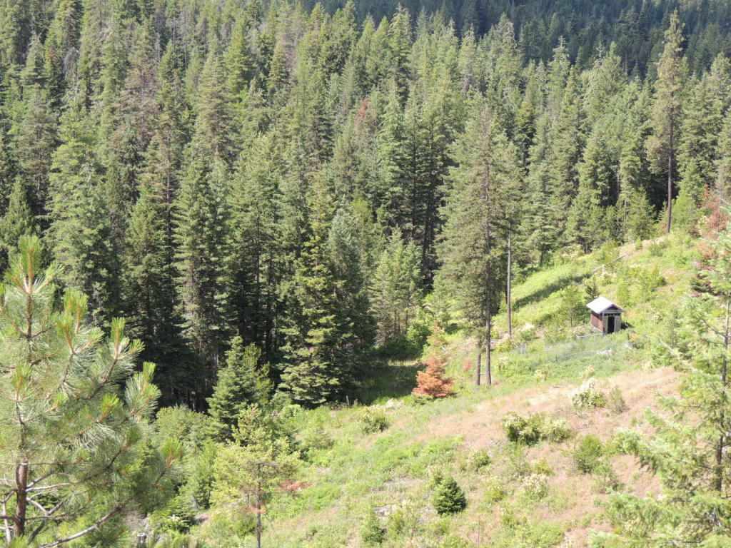 20311 East Temple Road Newman Lake, WA 99025 - Photo 4 of 11 Gallery Image 4