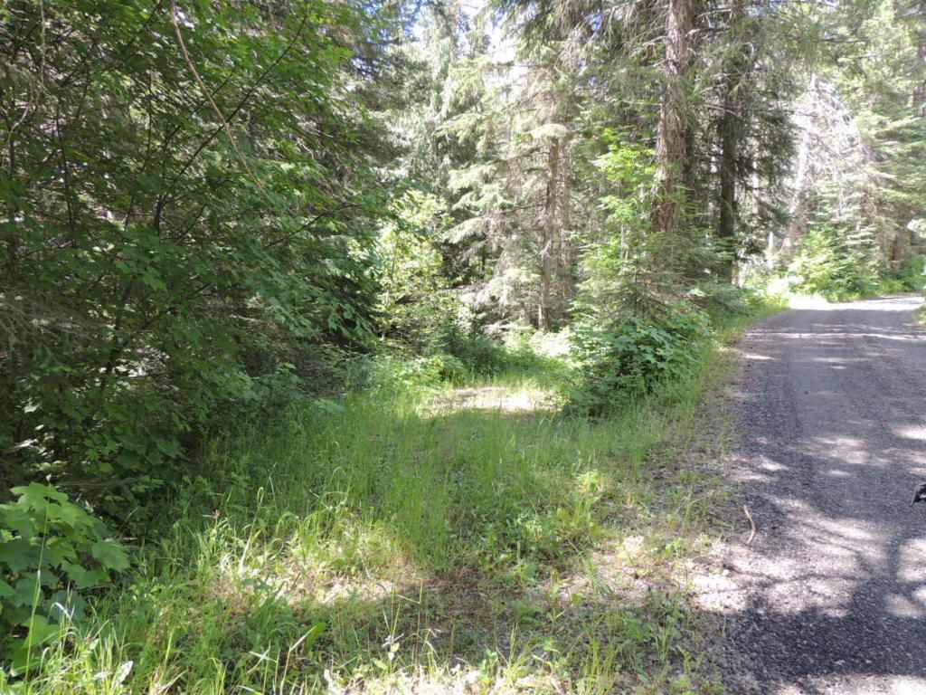 20311 East Temple Road Newman Lake, WA 99025 - Photo 7 of 11 Gallery Image 7
