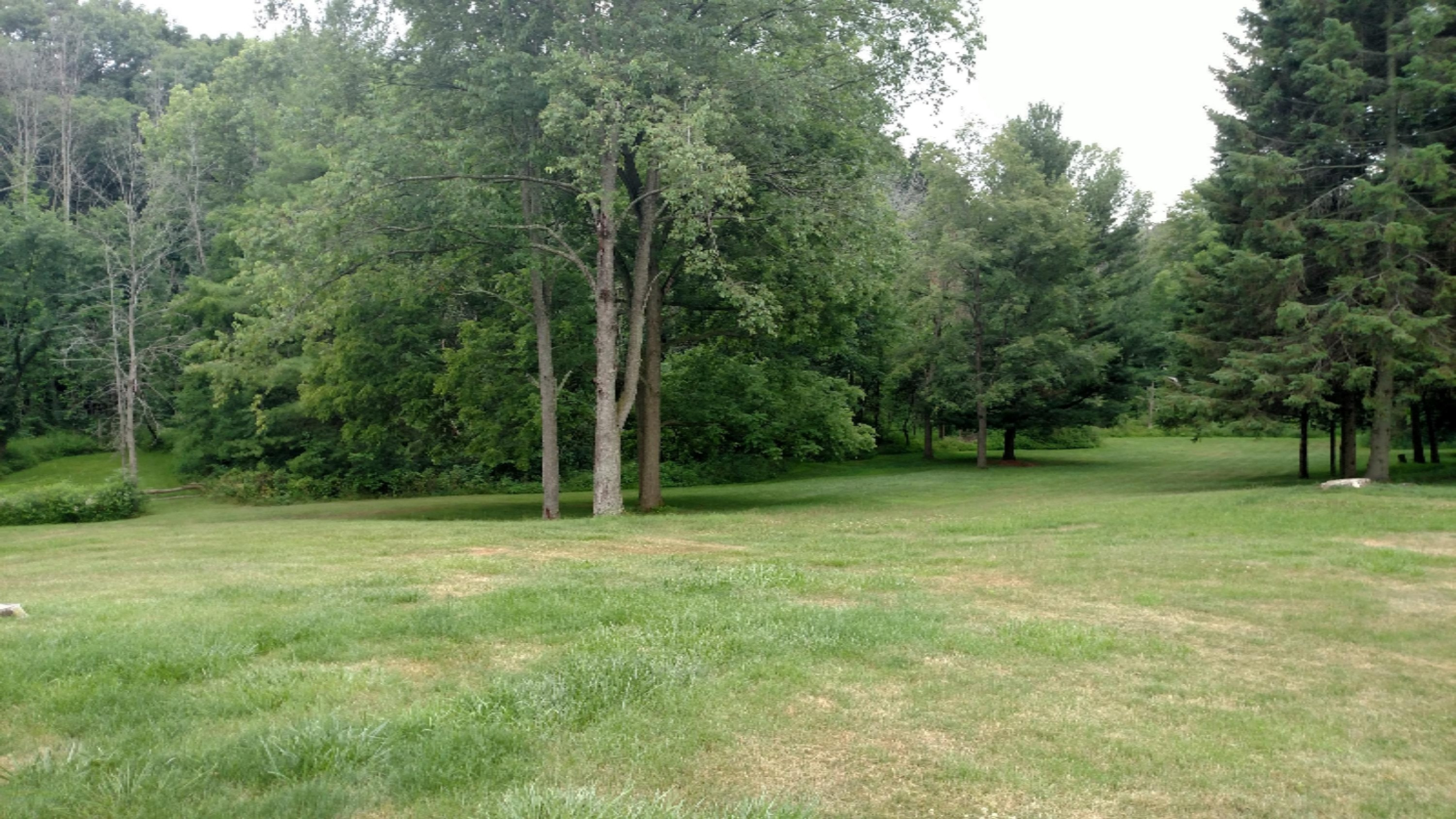 958 Johnson Road Ionia, MI 48846 - Photo 16 of 26 IMG_20160713_175508583